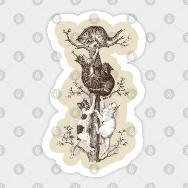 Cats Illustration Sticker by Biophilia